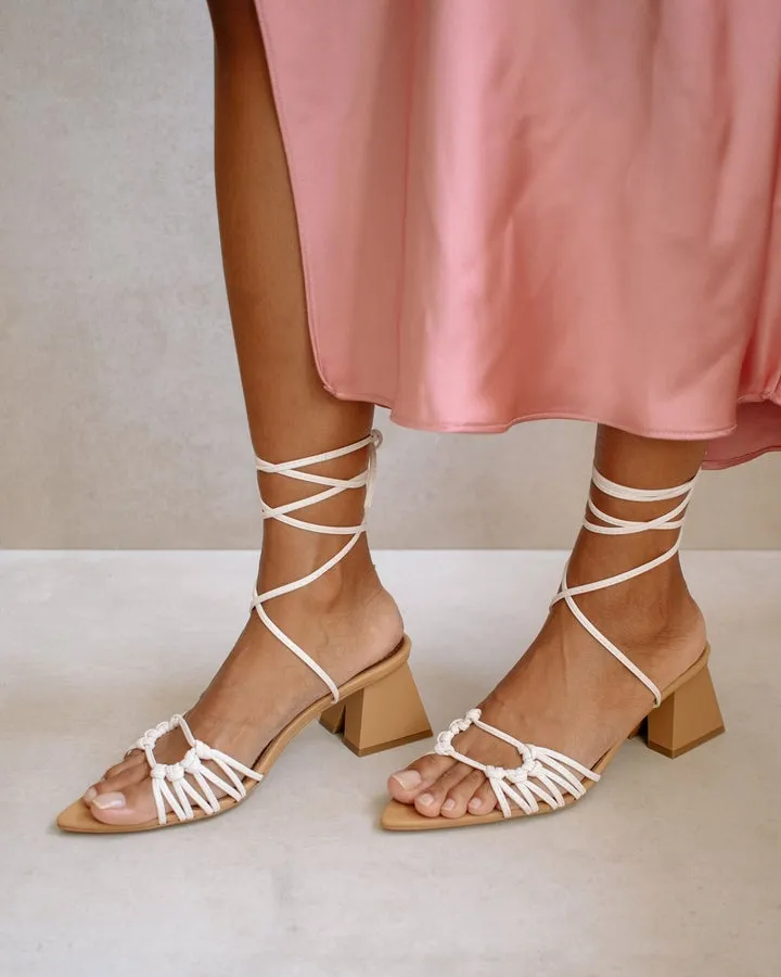 Alohas - Mirage in Camel