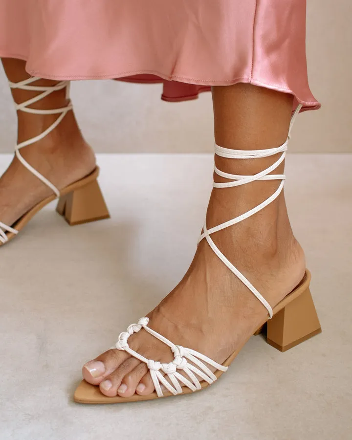 Alohas - Mirage in Camel