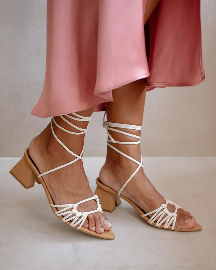 Alohas - Mirage in Camel