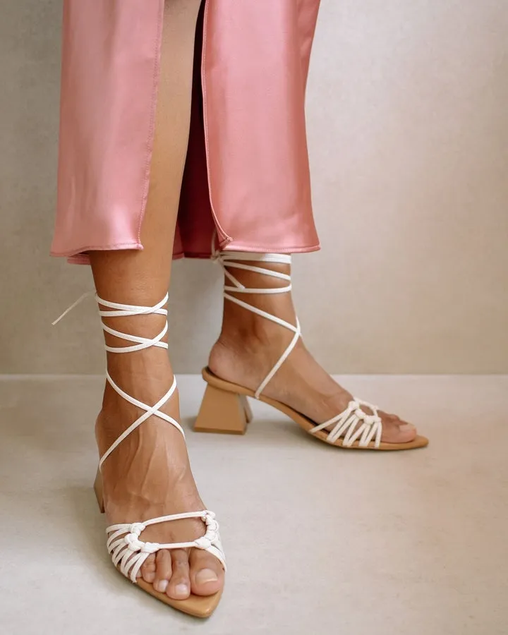 Alohas - Mirage in Camel