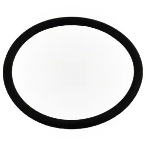 Pentair XF Series Pump Diffuser O-Ring 350336