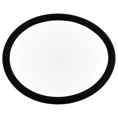 Pentair XF Series Pump Diffuser O-Ring 350336