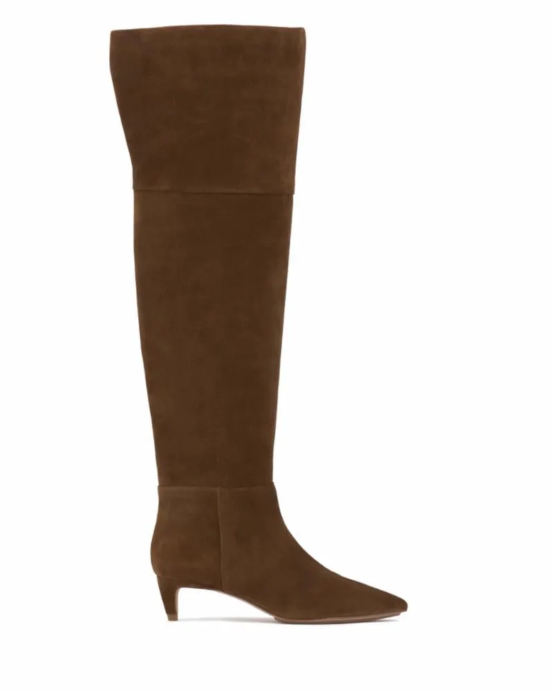 Vince Camuto IANA1 NARROW CALF REISHI/SILKY SUEDE